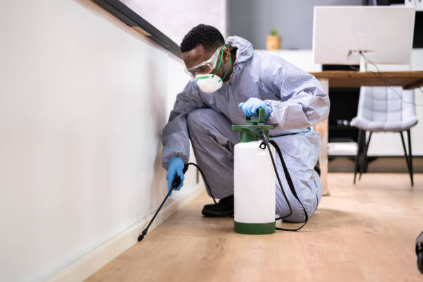 Best Fumigation Services  in Macedonia, OH